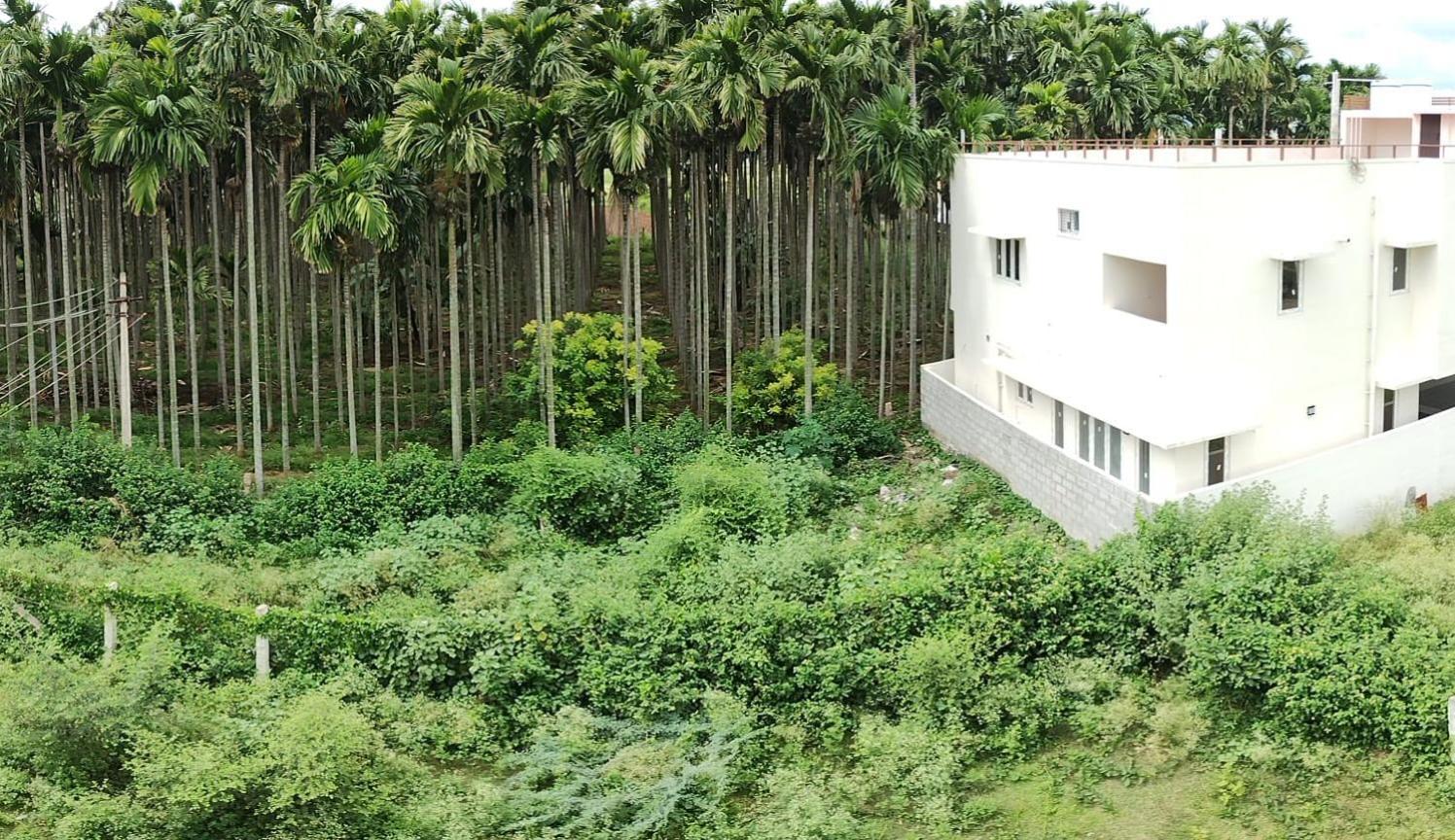 A Chettinad Villa In Coimbatore On The Way To Adiyogi And Nearer To Maruthamalai Exteriör bild